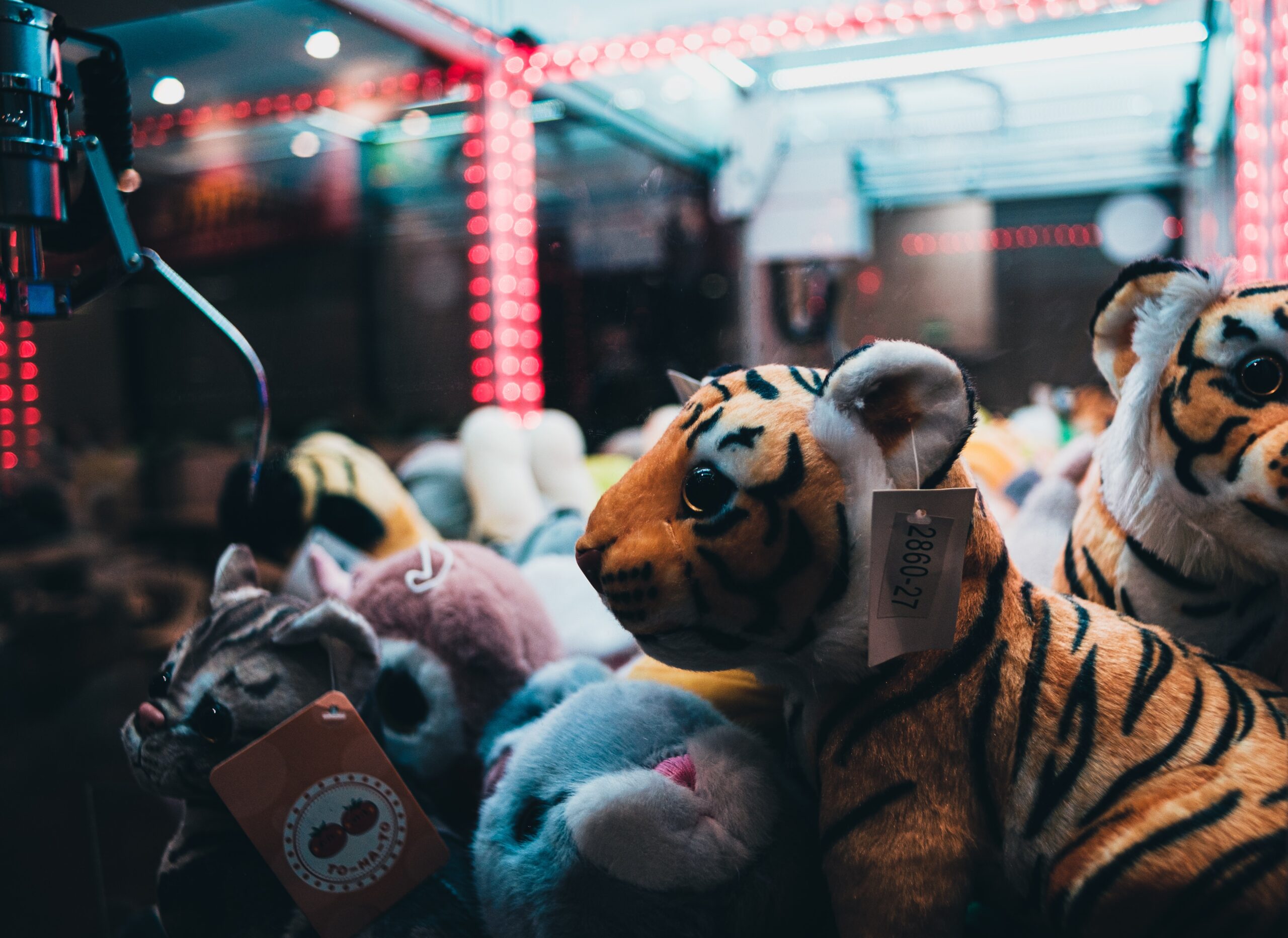 Rent Squishmallows claw machine